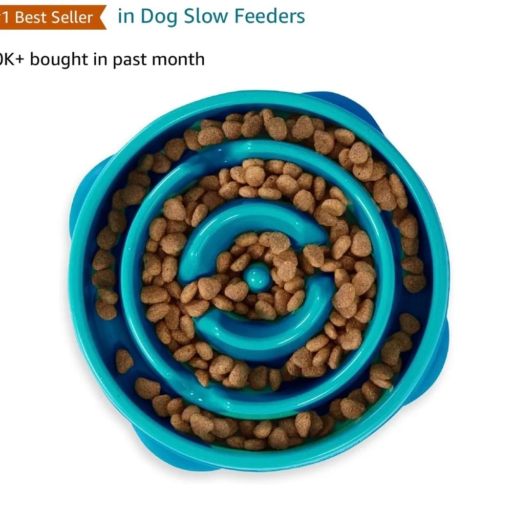Slow feeder dog bowl